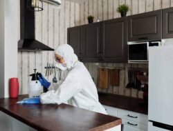 The best kitchen cleaning tips and tricks