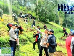 Untuk Menghijaukan Hutan Kembali, Polres Batu,TNI dan Lainya Menanam Bibit Pinus