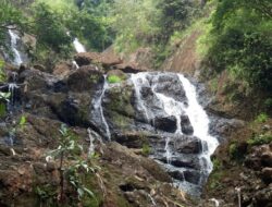 Air Terjun Banyunibo, Pesona Air Terjun Eksotis di Tengah Hutan Asri Bantul