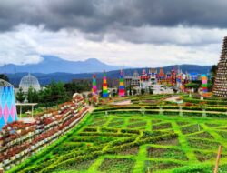 Celosia Garden, Mengintip Keindahan Taman dengan Beragam Bunga Celosia di Semarang