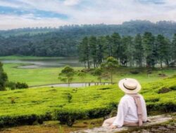 7 Tempat Healing di Bandung Yang Cocok Untuk Self Healing