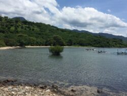 Pantai Pemuteran, Surga Bawah Laut yang Menakjubkan Di Buleleng Bali