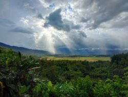 Puncak Mowewe, Beragam Spot Foto Keren dengan View Alam Memukau di Kolaka Timur