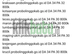 ADUH!, AKSES DATA DIGITAL PEMERINTAH KABUPATEN PROBOLINGGO DIPERJUAL BELIKAN